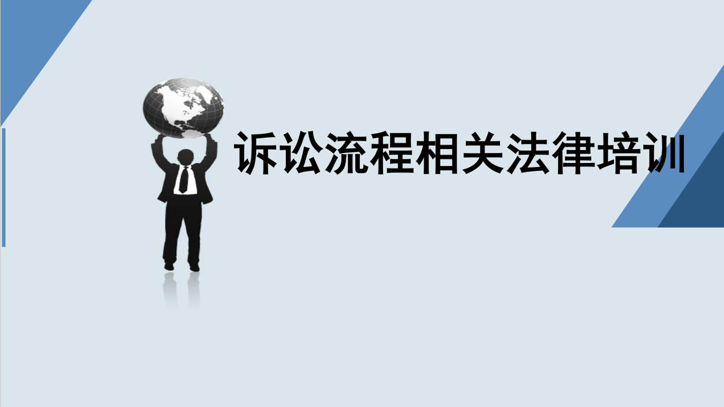 诉讼流程