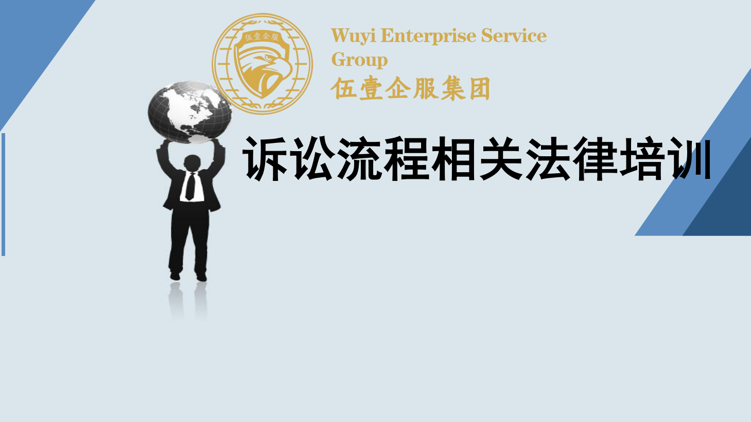诉讼流程及案例分析